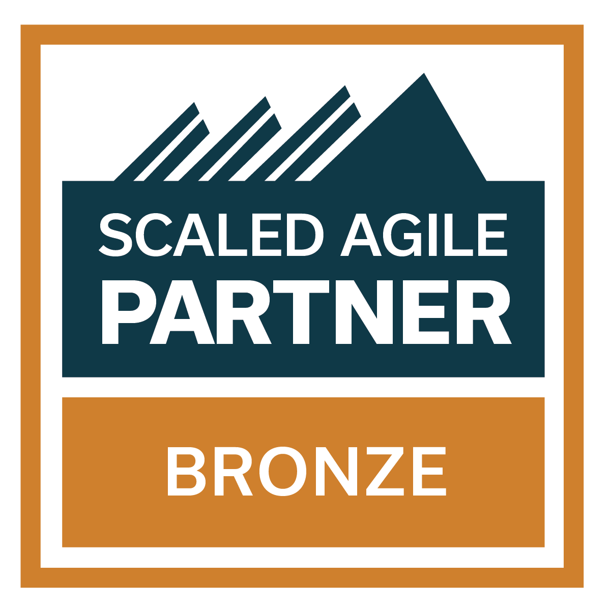 SAI Partner Badge Bronze